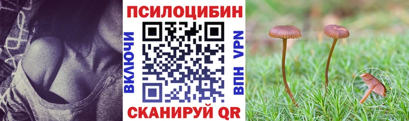 дарнет шоп  Новодвинск  Псилоцибиновые грибы Magic Shrooms 