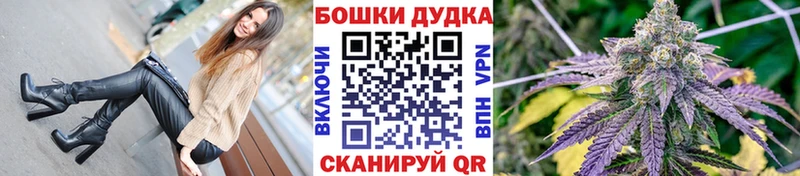 ссылка на мегу как войти  Новодвинск  Шишки марихуана THC 21% 
